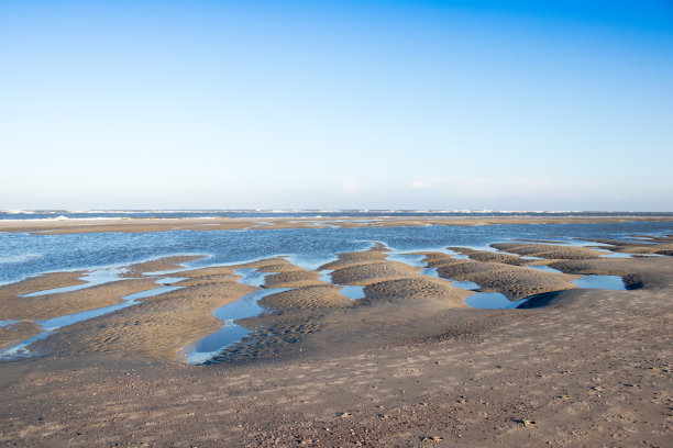 瓦登海.
