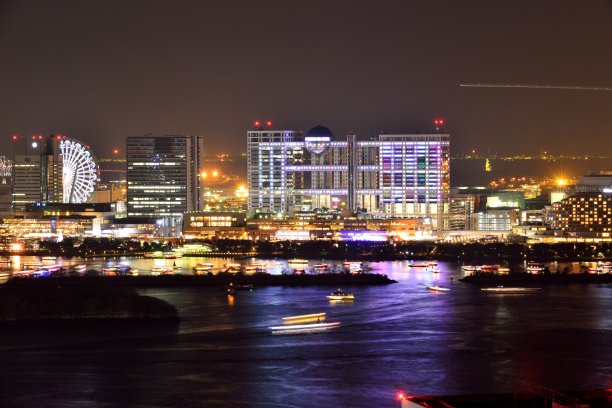 东京湾地区夜晚的城市景观