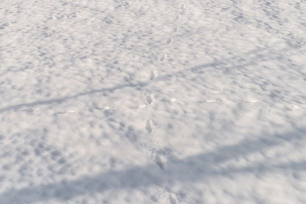 滑雪度假