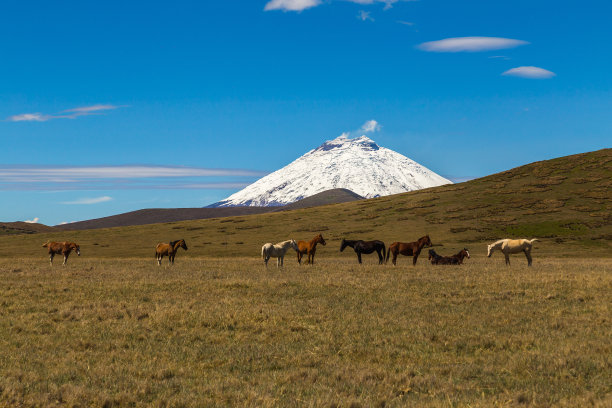 科多巴克西火山
