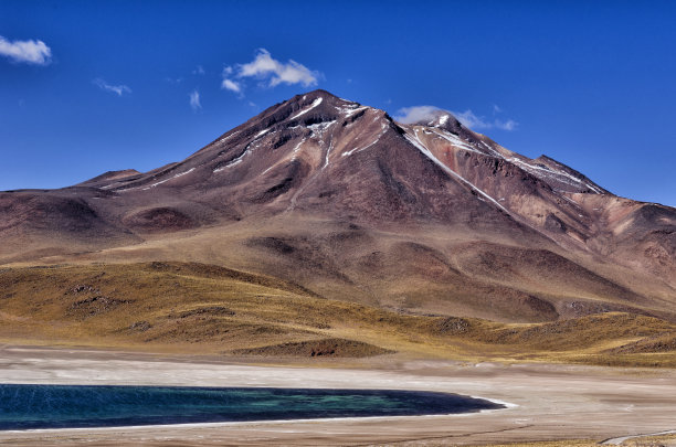 Miscante Lagoon