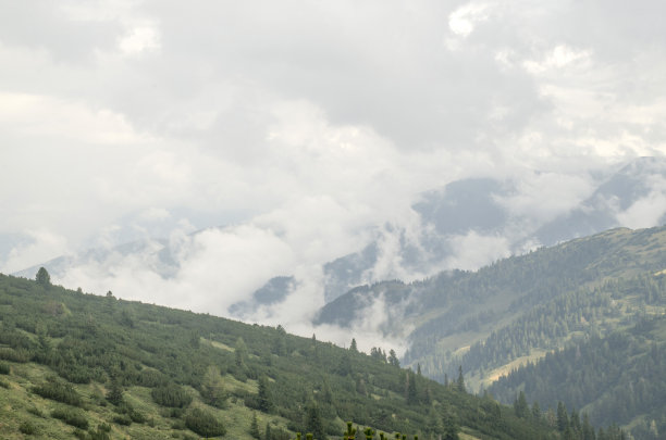山