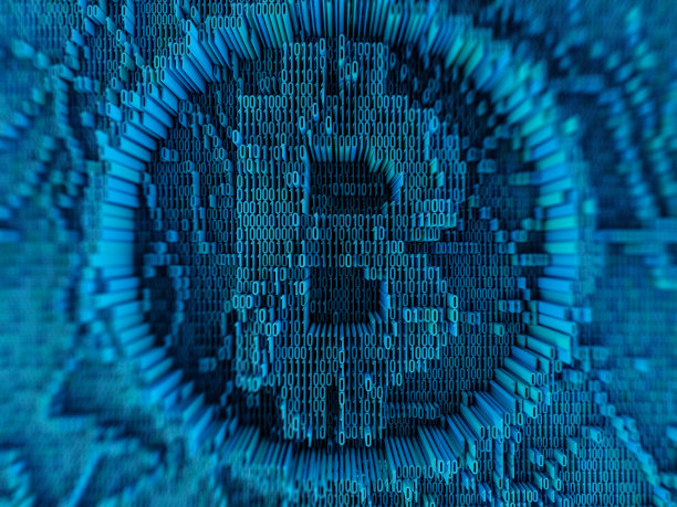 二进制码