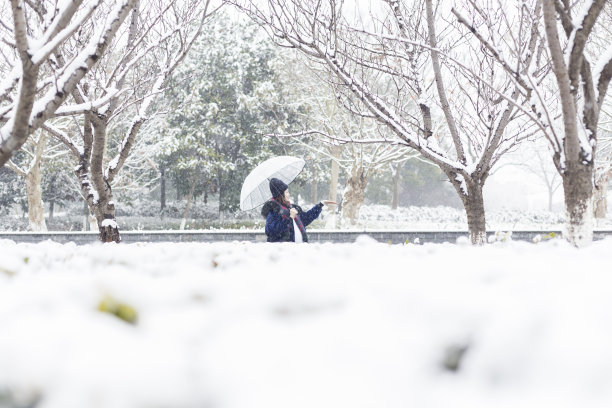 年轻孕妇在公园里享受降雪