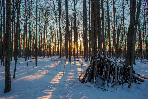 加拿大安大略省大雪后的日落林地