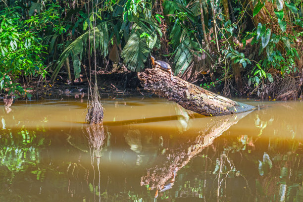 Tortuguero National Park