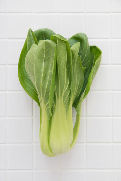娃娃菜