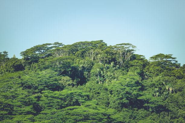 山谷