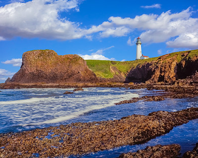 Yaquina Head Light，新港，俄勒冈