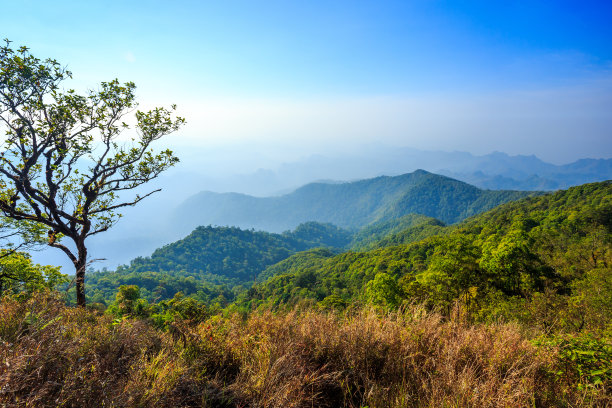 高山