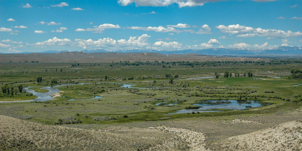 Pinedale