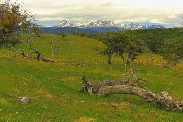 田园诗般的安第斯景观，乌斯怀亚-火地岛，阿根廷-南美