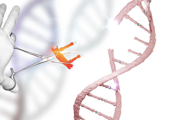 基因编辑基因治疗基因组编辑DNA操纵DNA编辑手套手持式镊子基因研究