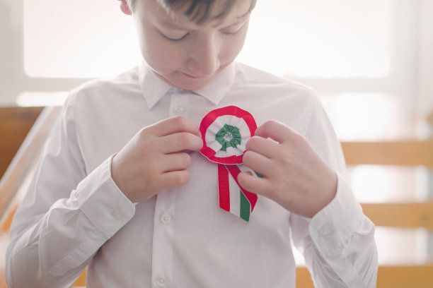 爱国者小男孩戴上匈牙利徽章