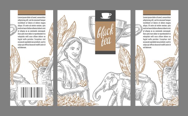 采茶的女人，茶叶，杯子，大象。矢量雕刻复古孤立插图标签红茶，包装，盒子。