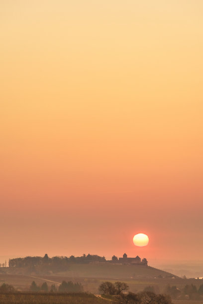莱茵高