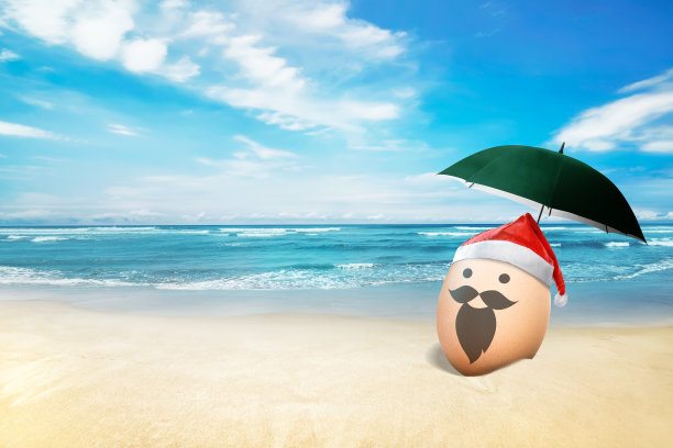 在海滩上戴着圣诞帽的鸡蛋