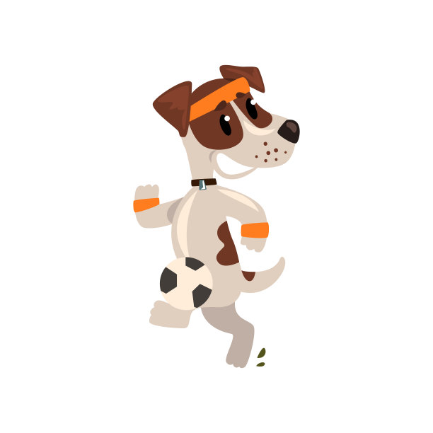 可爱的杰克罗素梗运动员慢跑，有趣的运动宠物狗角色做运动矢量插图在白色的背景