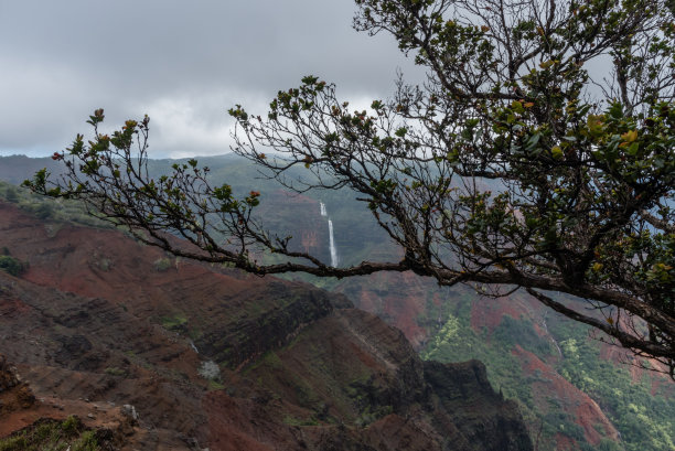 夏威夷考艾岛的威美亚峡谷，在一场大暴风雨后的冬天