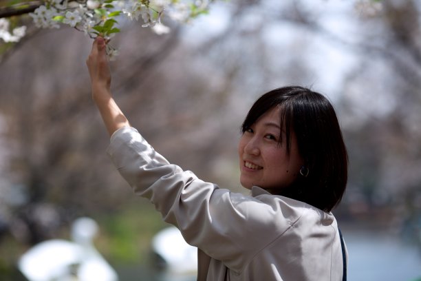 年轻女子欣赏樱花