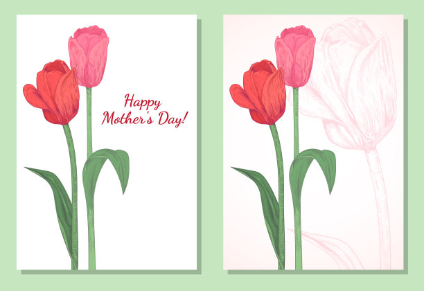 一套垂直模板卡设计与郁金香:红色，粉红色的花，绿色的叶子，茎，白色的背景与轮廓郁金香。手绘植物素描插图，复古，矢量，复制空间