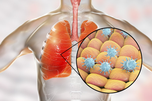 进行消毒肺部细菌感染细胞人体器官透视图身体内部血管器官肺结核防