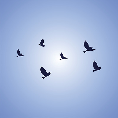 鸟矢量图片图标是被镀矢量在蓝色的背景