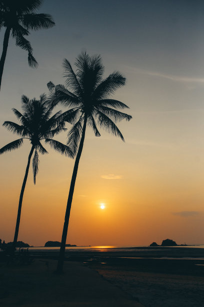 泰国兰塔岛棕榈树后的夕阳