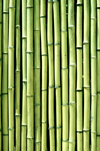 青竹木墙背景纹理垂直