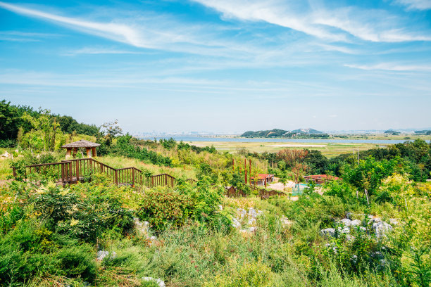 韩国安山大武道的绿色自然公园和步道