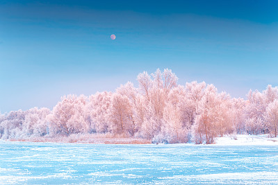 风景