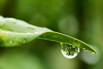 雨滴
