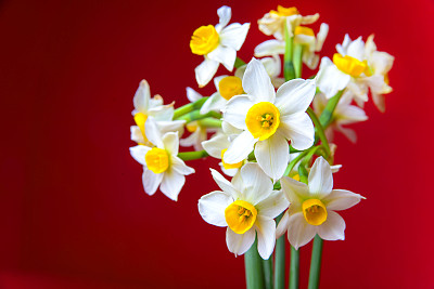 水仙花