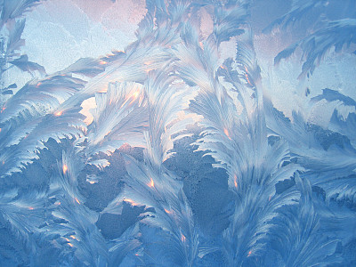 霜