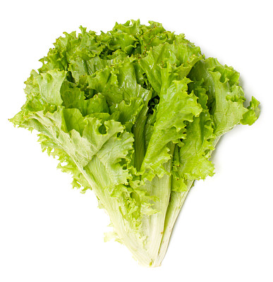 生菜