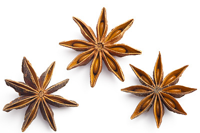 星茴芹