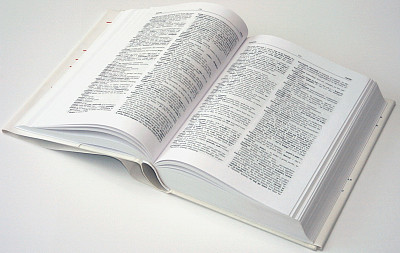 字典