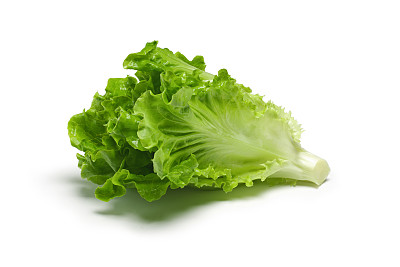 生菜
