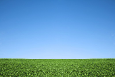 风景
