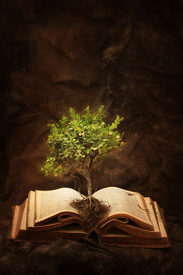 知识之树