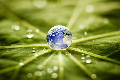 露水
