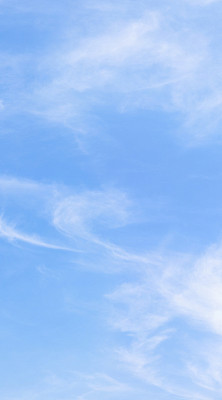 仅天空