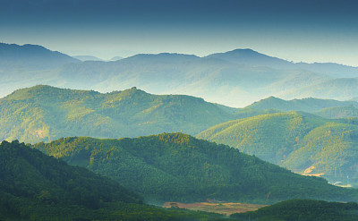 山