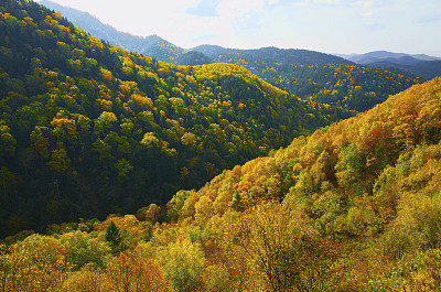 山