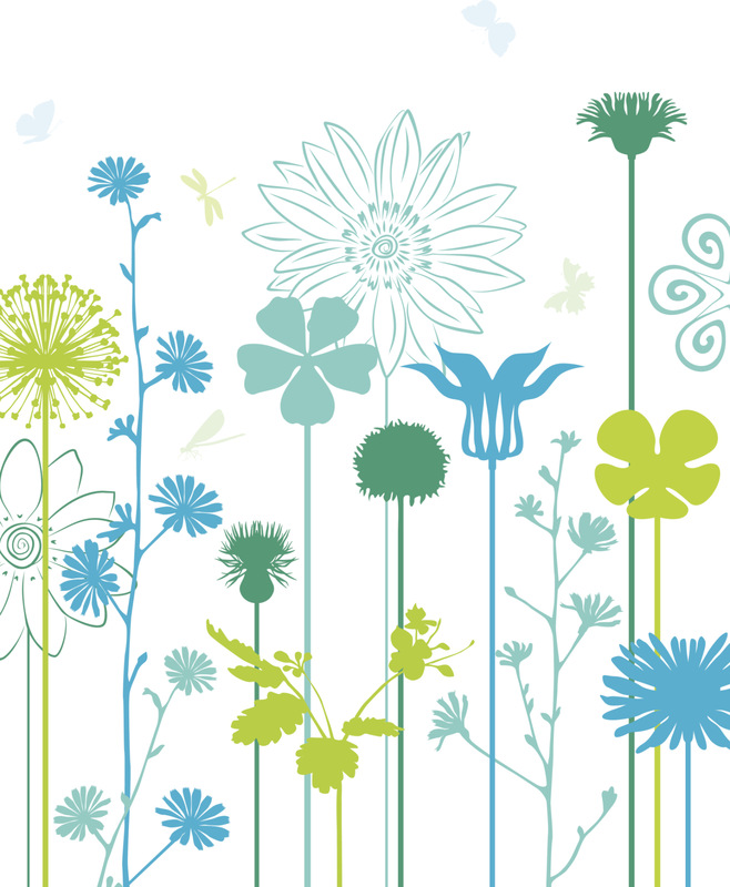 花坛,草,菊花,自然纹理,季节,仅一朵花,矢量,背景,叶子,生长
