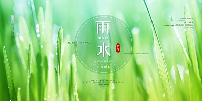 时尚雨水二十四节气展板 时尚雨水二十四节气展板