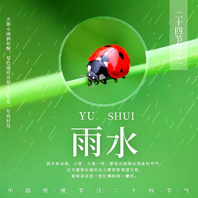 二十四节气雨水主图 二十四节气雨水主图