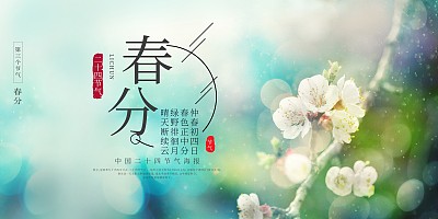 春分节气春季展板 春分节气春季展板