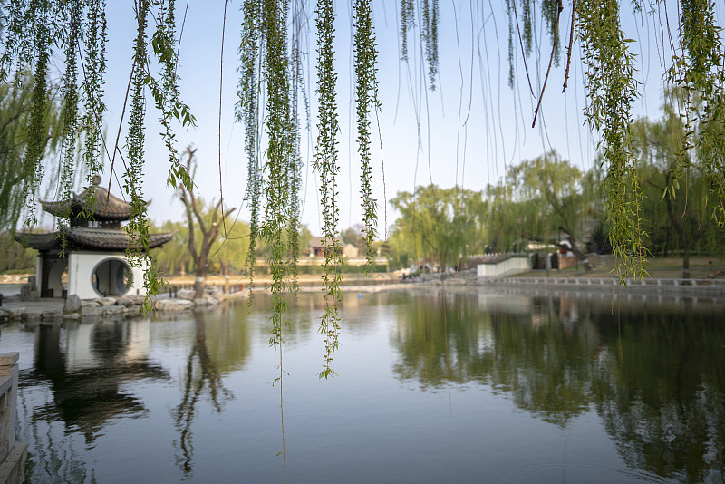 传统,东方石景花园,清新,对称,舒服,环境保护,公园,复古风格,中式庭院,池塘