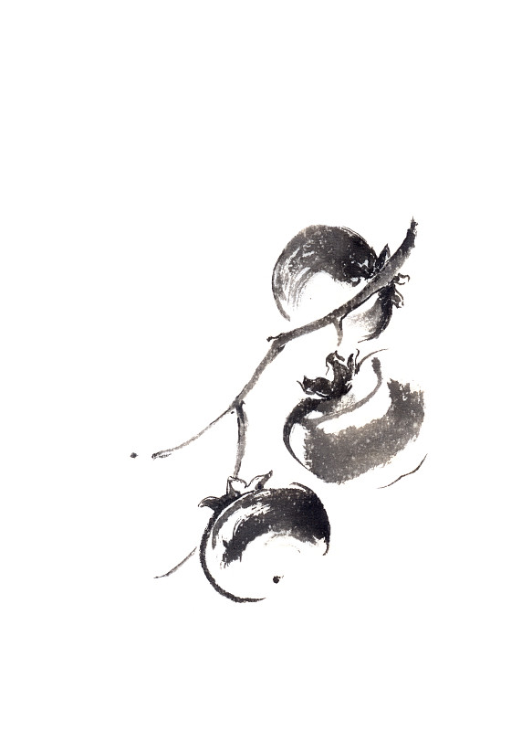 高雅,柿子树,水墨画,新的,烟灰墨,欧元符号,三只动物,秋天,夏天,明亮